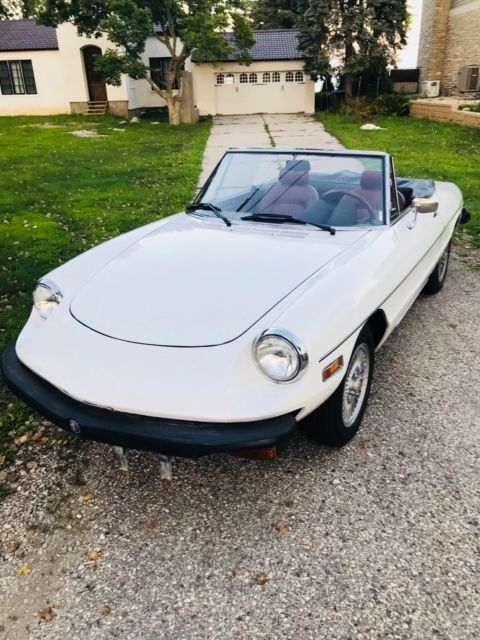 1975 Alfa Romeo Spider Veloce - photo 2