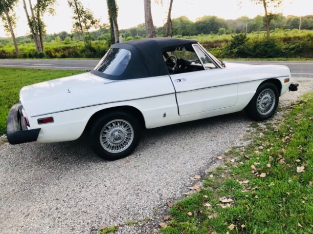 1975 Alfa Romeo Spider Veloce - photo 4