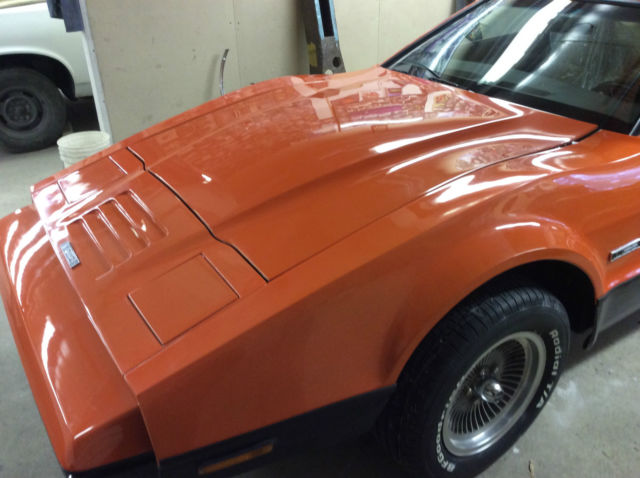 1975 Other Makes Bricklin SV1 - photo 11