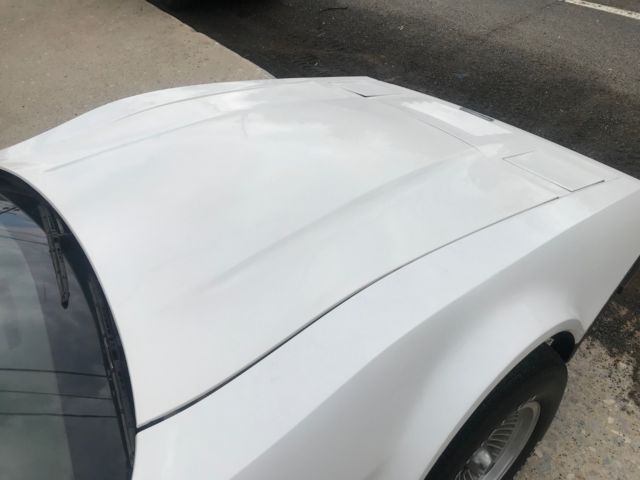 1975 Other Makes SV-1 36 Miles 36 Miles - photo 6