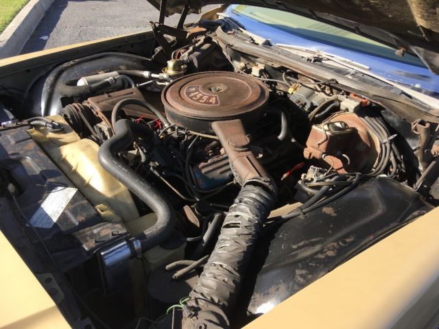 1975 Buick Electra 225 Custom - photo 13