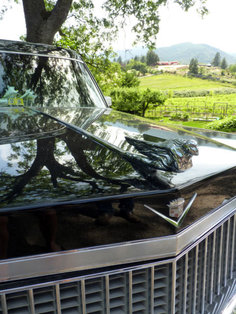1975 Cadillac Hearse Converted to Limousine Custom - photo 5