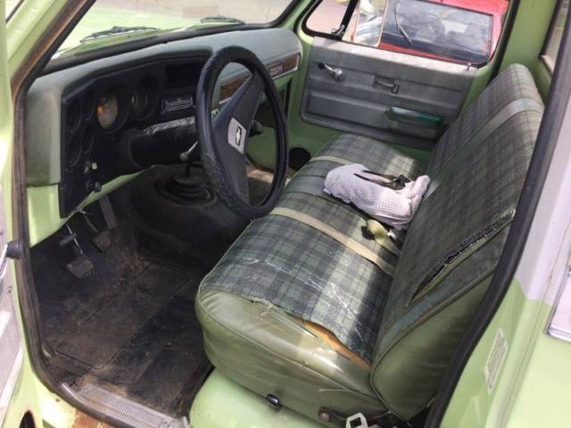 1975 Chevrolet C-10 Custom Deluxe - photo 10