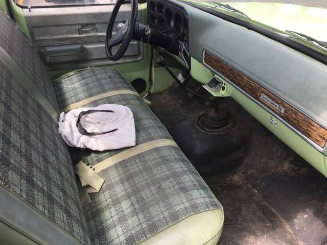 1975 Chevrolet C-10 Custom Deluxe - photo 11