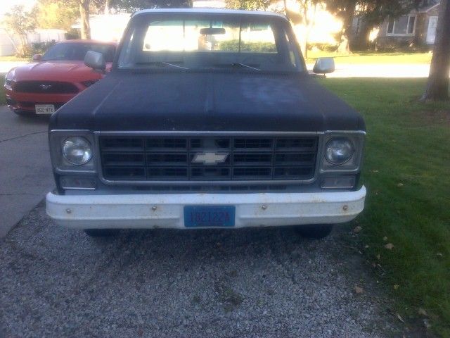 1975 Chevrolet C-10 c10 custom deluxe - photo 6