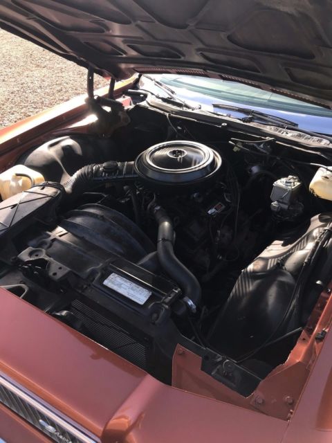 1975 Chevrolet Caprice 2 Door - photo 5