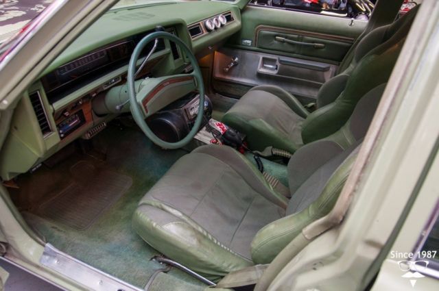 1975 Chevrolet G80 Caprice Classic - photo 11