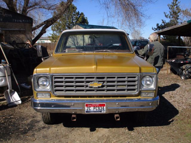 1975 Chevrolet Chevy C/K 20 2500 pickup truck Silverado Camper Special 454 2WD 1975 Chevrolet C/K Pickup 2500 Silverado