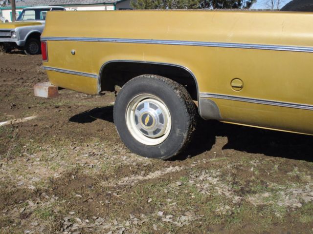 1975 Chevrolet C/K Pickup 2500 Silverado - photo 11