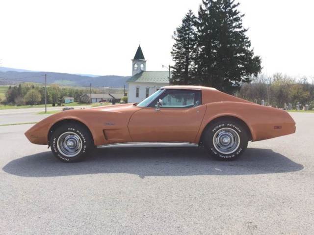 1975 Chevrolet Corvette Automatic RWD V8 Other Gasoline 1975 Chevrolet Corvette