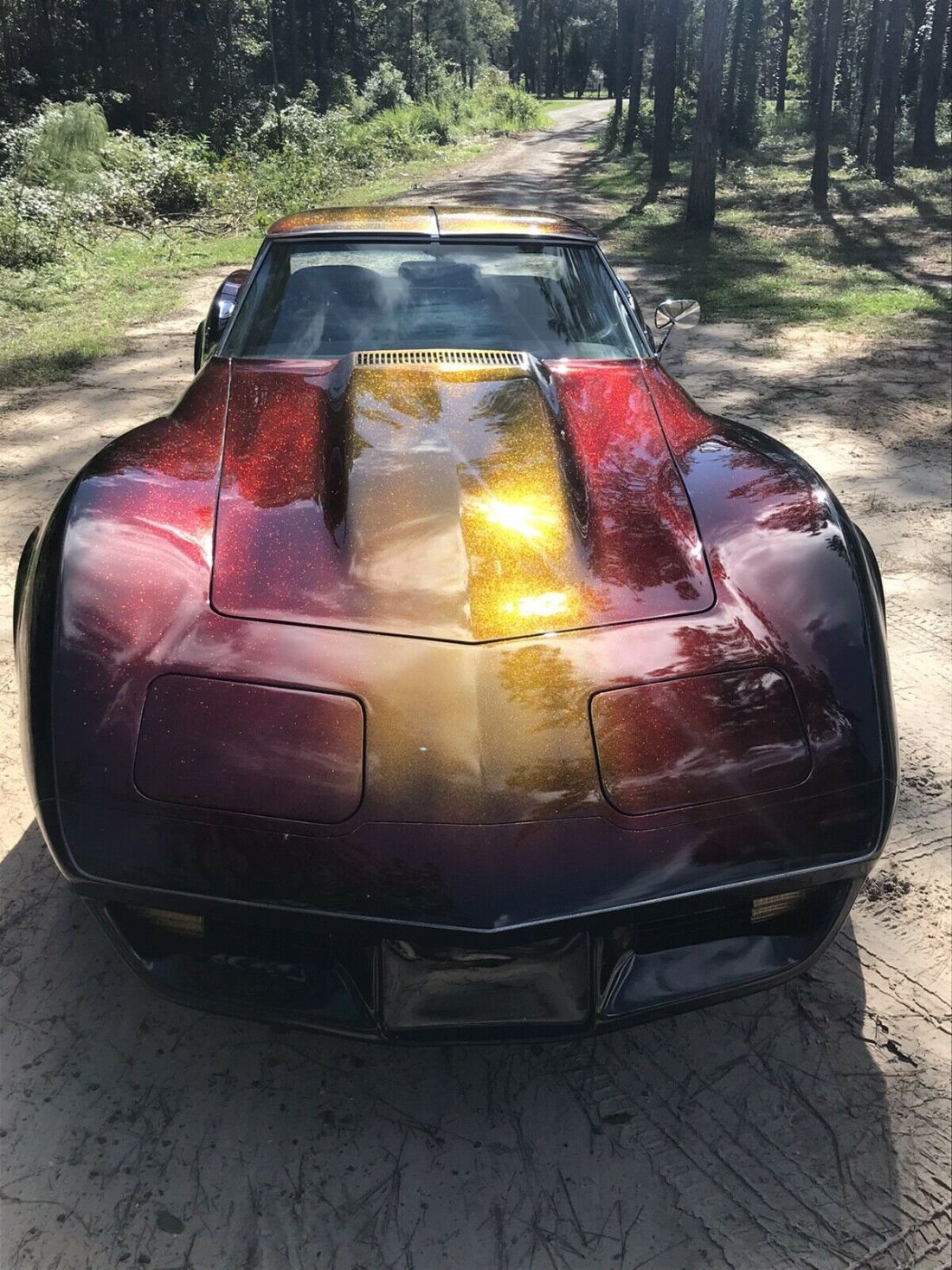 1975 Chevrolet Corvette C3 - photo 9