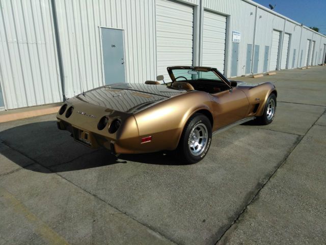 1975 Chevrolet Corvette CORVETTE CONV. - photo 11