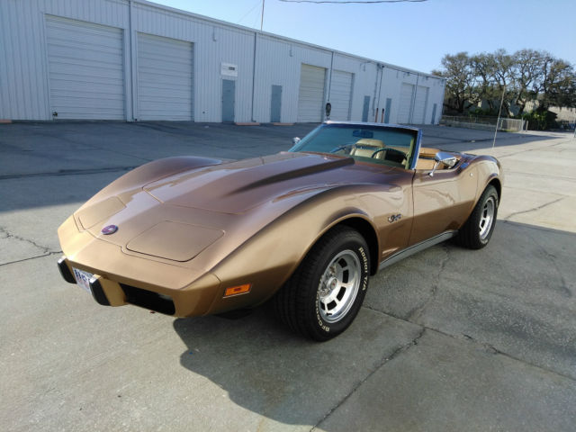 1975 Chevrolet Corvette CORVETTE CONV. - photo 12