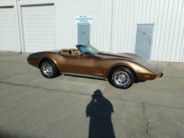 1975 Chevrolet Corvette CORVETTE CONV. - photo 8