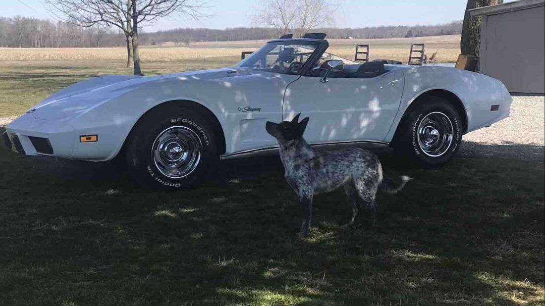 1975 Chevrolet corvette convertible L82 4 spd convertible L82 4 speed - photo 11
