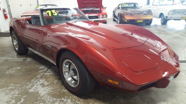 1975 Chevrolet Corvette - photo 4