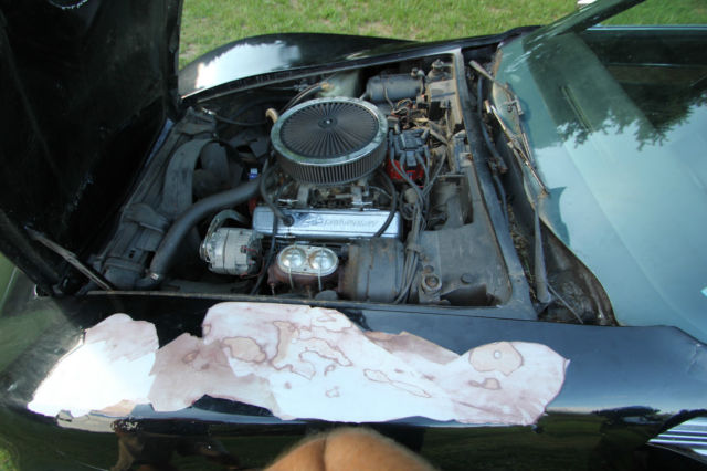 1975 Chevrolet Corvette Stingray - photo 10