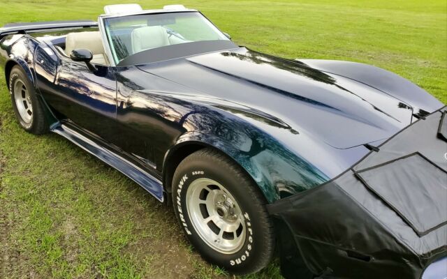 1975 Chevrolet Corvette Stingray - photo 8