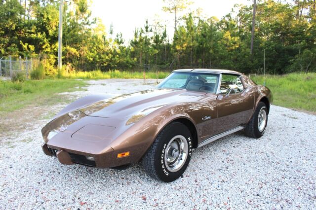 1975 Chevrolet Corvette StingRay L-48 T-Top 350 V8 Coupe 120+ HD Pictures