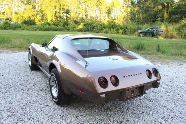1975 Chevrolet Corvette StingRay L-48 T-Top 350 V8 Coupe 120+ HD Pictures - photo 3
