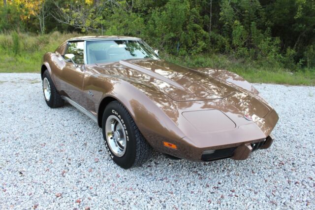 1975 Chevrolet Corvette StingRay L-48 T-Top 350 V8 Coupe 120+ HD Pictures - photo 6