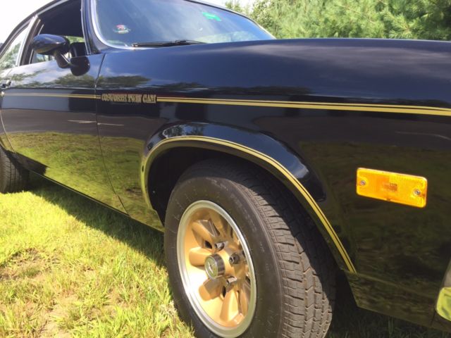 1975 Chevrolet Vega Cosworth Vega - photo 5