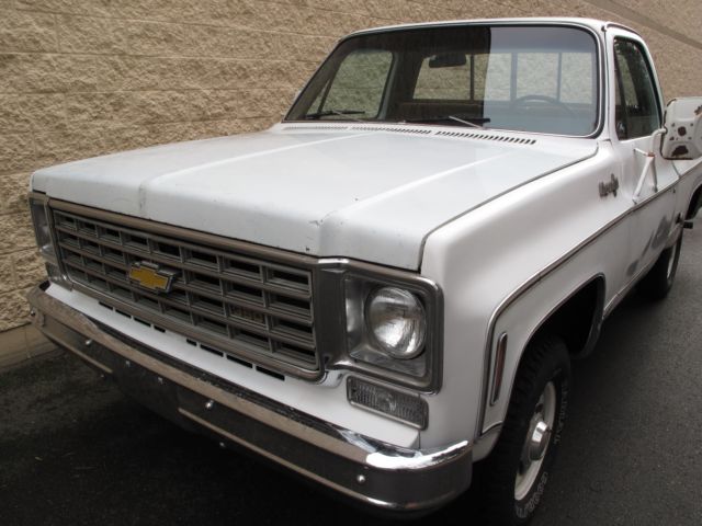 1975 Chevrolet C/K Pickup 1500 Cheyenne - photo 2