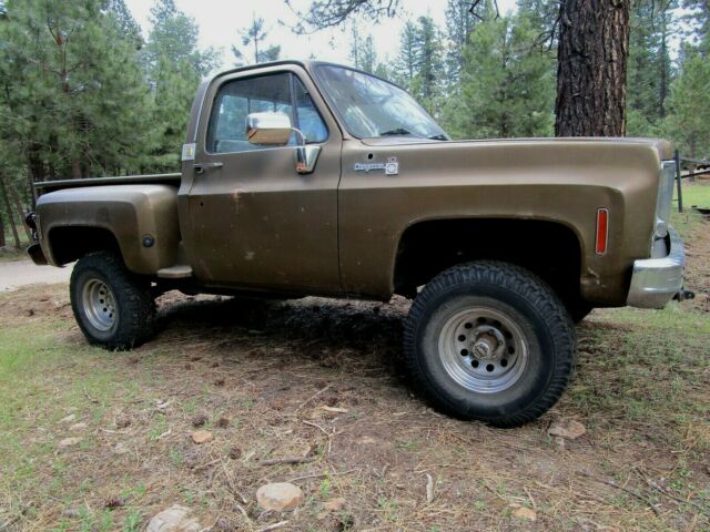 1975 Chevrolet C-10 Cheyenne - photo 4
