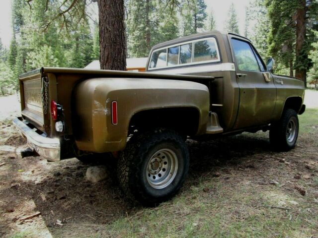 1975 Chevrolet C-10 Cheyenne - photo 6