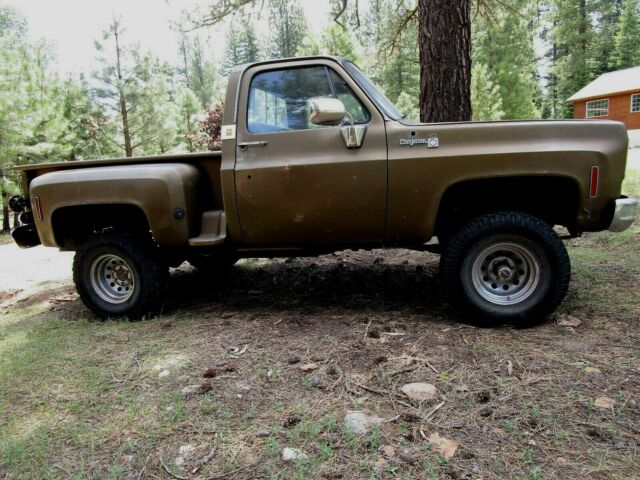 1975 Chevrolet C-10 Cheyenne - photo 7