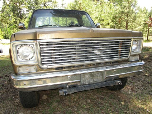 1975 Chevrolet C-10 Cheyenne - photo 8