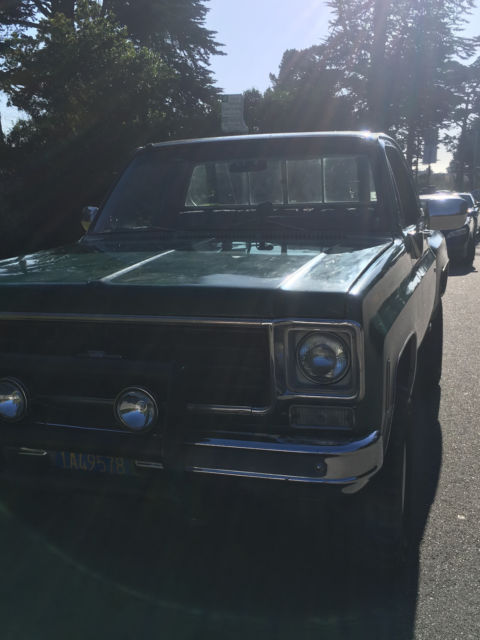 1975 Chevrolet C/K Pickup 1500 Cheyenne trim - photo 10