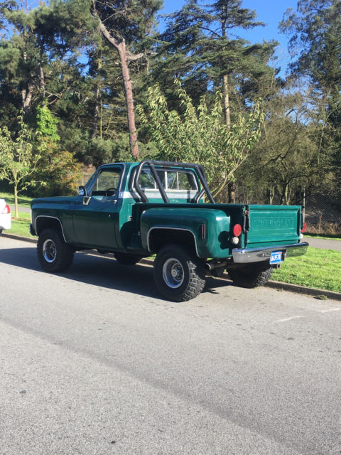 1975 Chevrolet C/K Pickup 1500 Cheyenne trim - photo 5