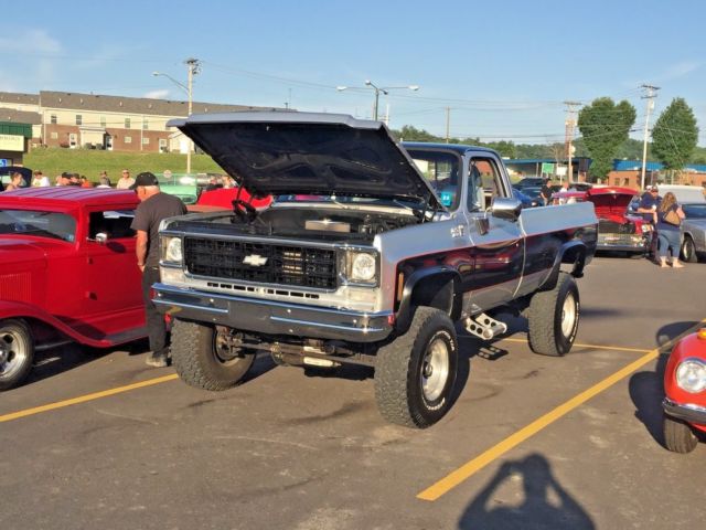 1975 Chevrolet C/K Pickup 2500 Custom Deluxe - photo 3