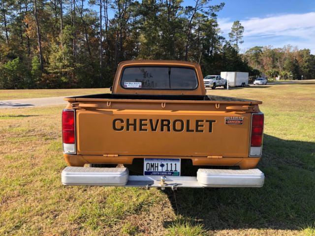 1975 Chevrolet Other Pickups - photo 13