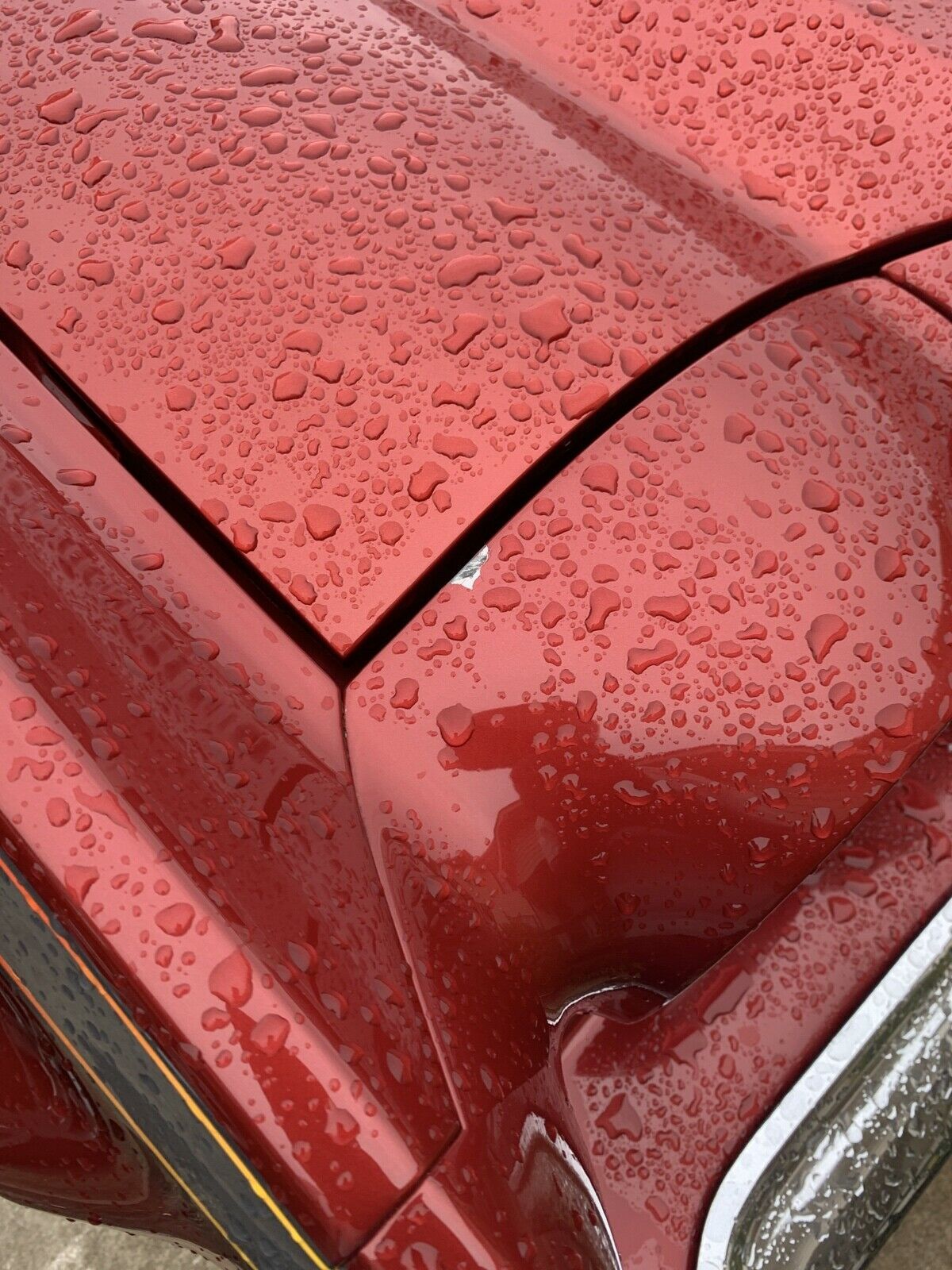 1975 Chevrolet Monte Carlo Base - photo 5