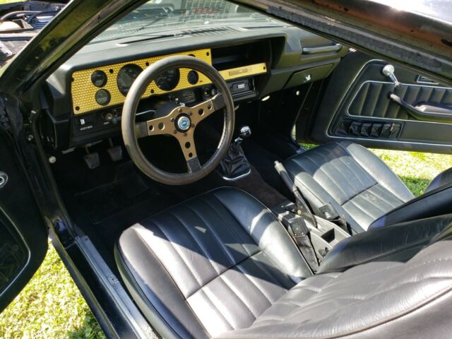 1975 Chevrolet Other Cosworth #446 - photo 7