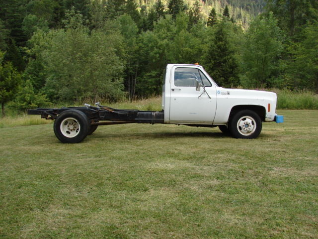 1975 Chevrolet Other Pickups - photo 2
