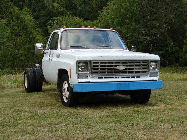 1975 Chevrolet Other Pickups - photo 4