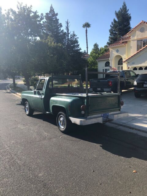 1975 Chevrolet Other Pickups - photo 3