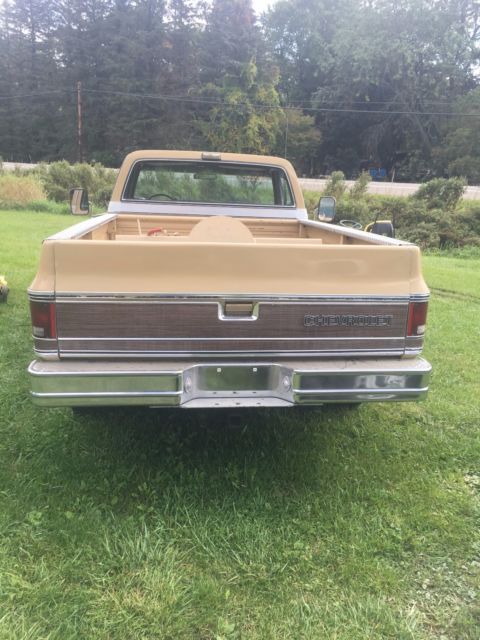 1975 Chevrolet C/K Pickup 2500 camper special - photo 7