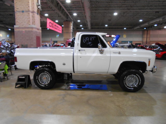 1975 Chevrolet Other Pickups - photo 2