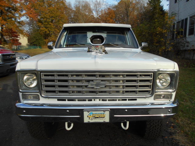1975 Chevrolet Other Pickups - photo 3