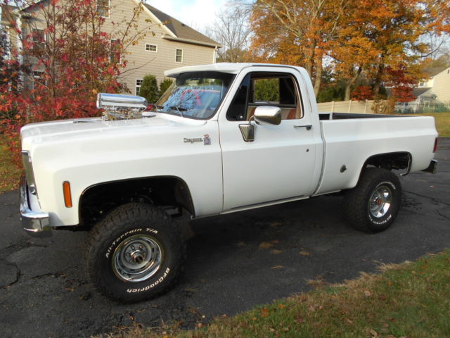 1975 Chevrolet Other Pickups - photo 4