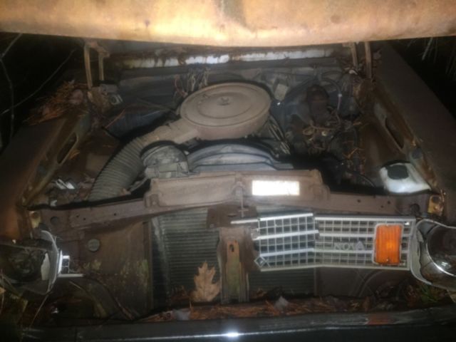 1975 Chevrolet Nova 2 door - photo 3