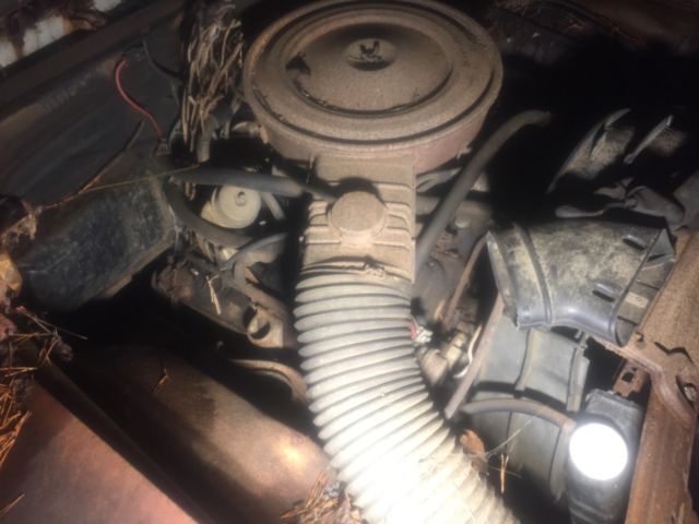 1975 Chevrolet Nova 2 door - photo 5