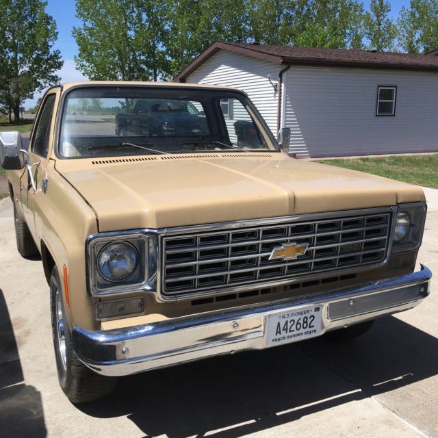 1975 Chevrolet Other Pickups custom deluxe - photo 2