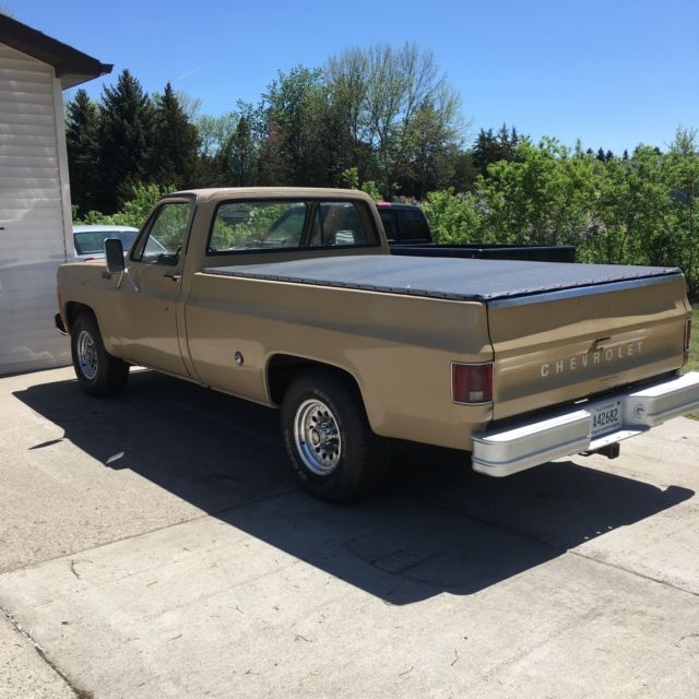 1975 Chevrolet Other Pickups custom deluxe - photo 4