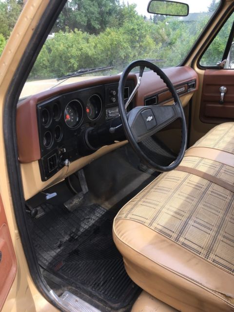 1975 Chevrolet Other Pickups custom deluxe - photo 5