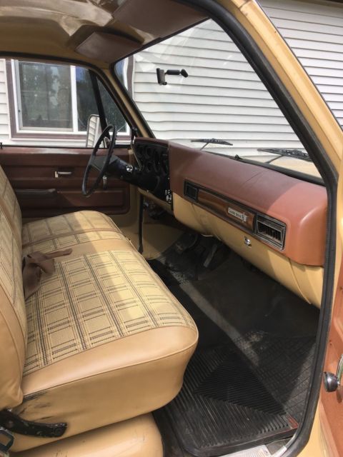 1975 Chevrolet Other Pickups custom deluxe - photo 6